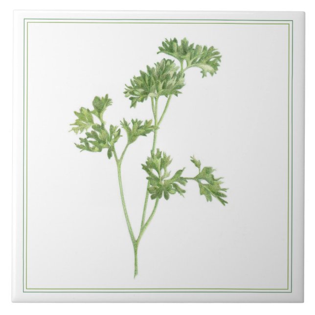 FÄRSK PARSLEY 6x6 keramiskt plattor (-text) Kakelplatta (Framsidan)