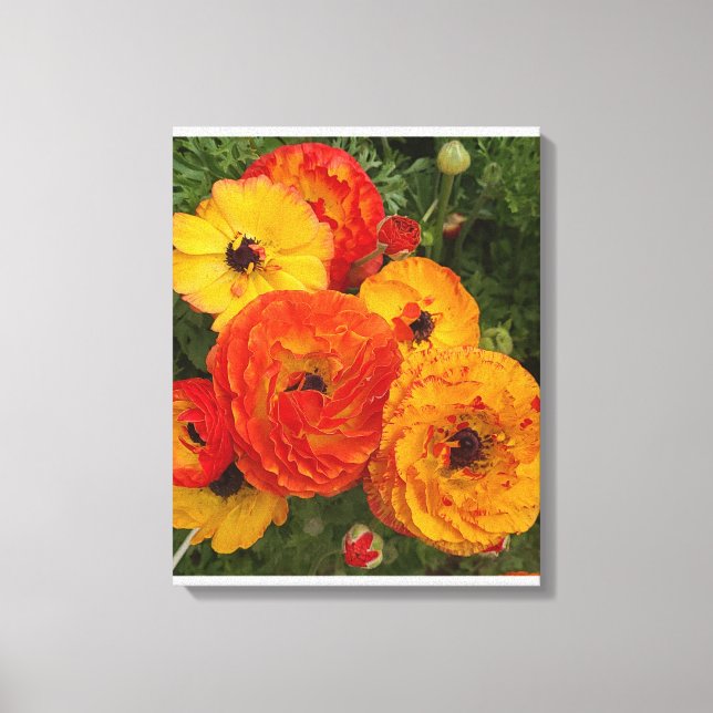 Färsk poppies-foto Stretched-Kanvastryck Canvastryck (Framsida)