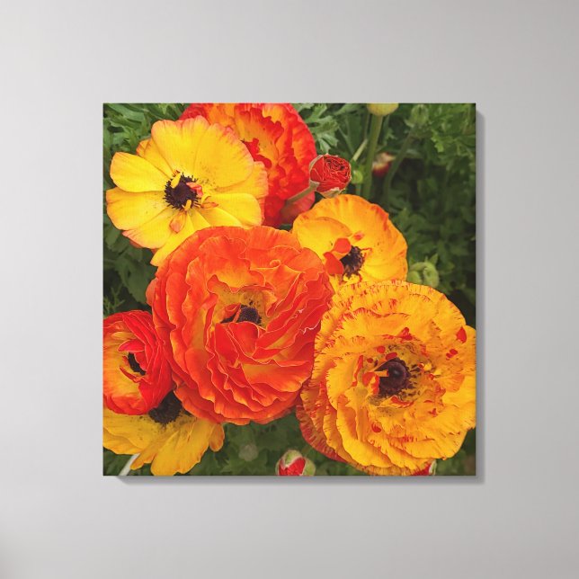 Färsk poppies-foto Stretched-Kanvastryck Canvastryck (Framsida)