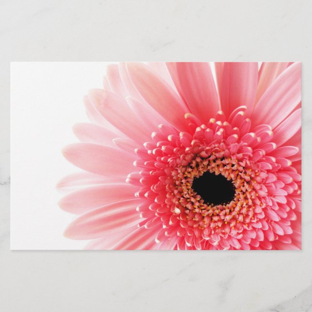 Färsk rosa Gerbera tusenskönsfotografi Brevpapper (Framsida)