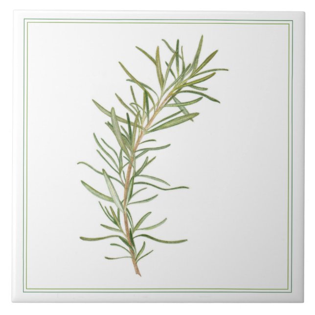 FÄRSK ROSEMARY 6x6 keramiskt plattor (-text) Kakelplatta (Framsidan)