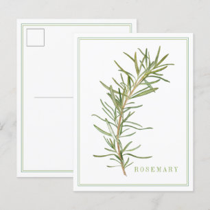 FÄRSK ROSEMARY-vykort Vykort