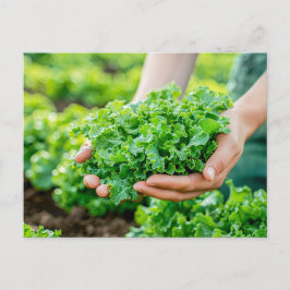 Färsk sallat med stora Gröntar Helg Vykort