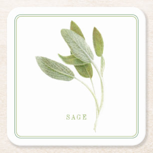 Färsk SALVIA Fyrkantiga Pappersbrickor (+text) Underlägg Papper Kvadrat