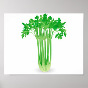 Färsk selleri Poster