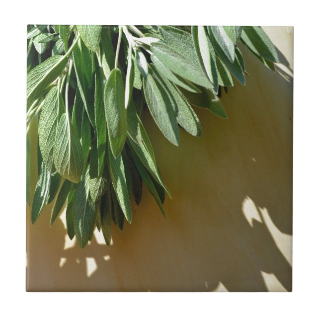 Färsk sida kakelplatta (Framsidan)