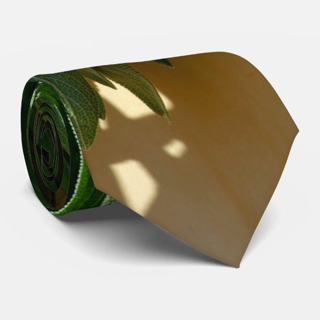 Färsk sida slips (Rullad)