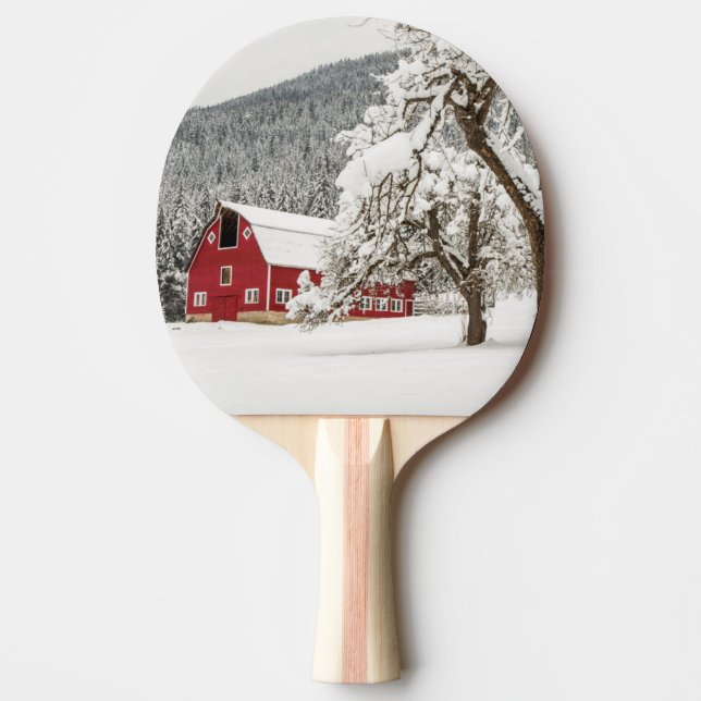 Färsk snö på röd lada pingisracket (Framsidan)