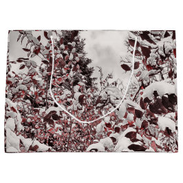 Färsk Snö på röd Löv