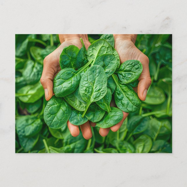 Färsk spinach Harvest i Händer Helg Vykort (Framsida)
