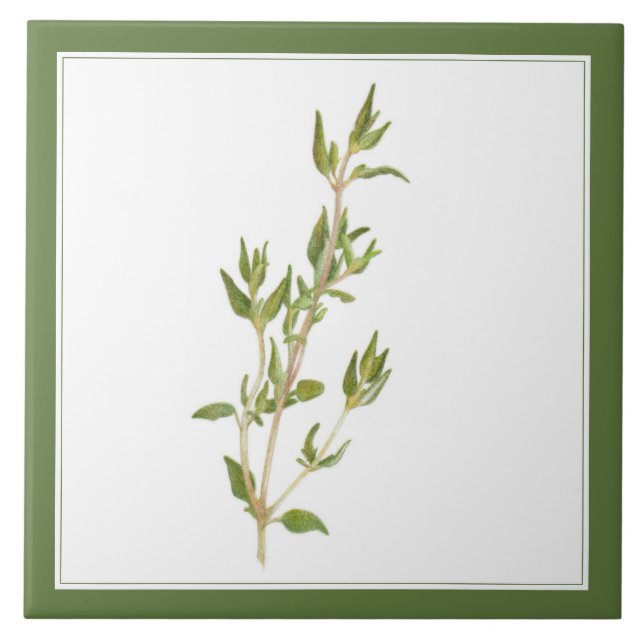 Färsk Timjan 6x6 Keramisk Kakel (-text) Grön (Framsidan)