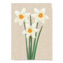 Färsk Vår Daffodils Watercolor