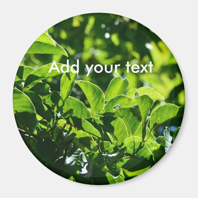 Färsk vår grönt löv. Naturfotografi. Magnet (Framsidan)