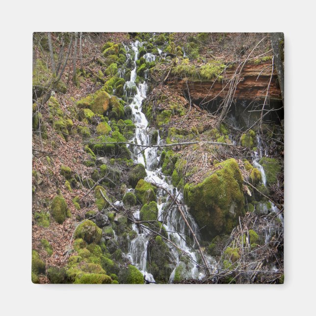 Färsk vår.... magnet (Framsidan)