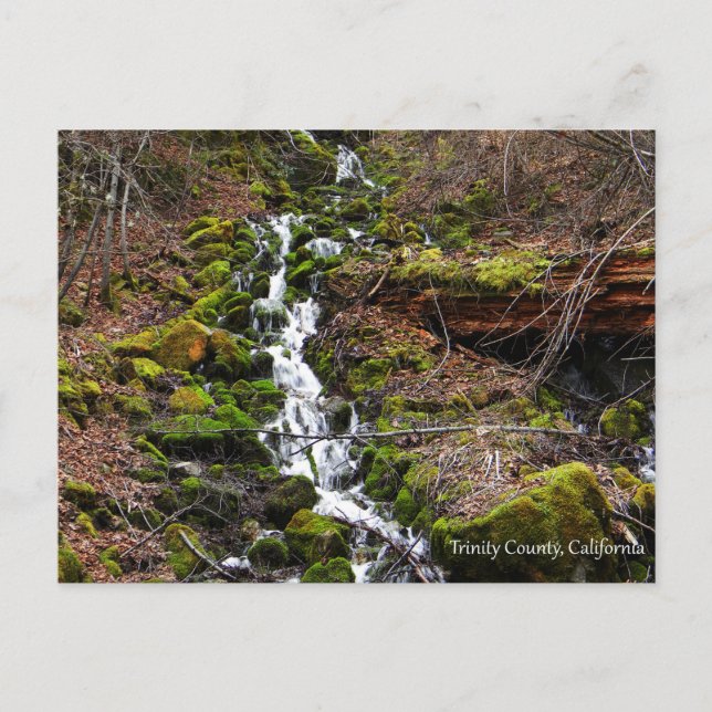 Färsk vår vatten...vykort vykort (Framsida)