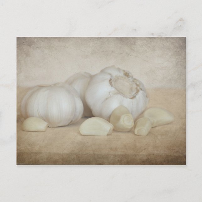 Färsk vitlök vykort (Framsida)