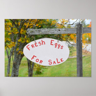 Färska ägg för försäljning i Vermont-tecken Poster