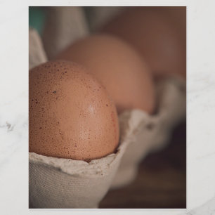 Färska ägg från lantgård reklamblad