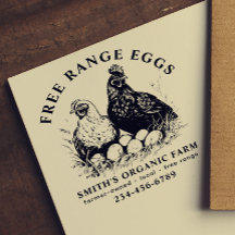 Färska ägg, höns och ägg