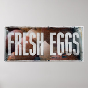 Färska ägg poster