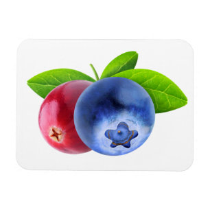 Färska bär magnet