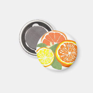 Färska Citrus Skivor Apelsin Citron Magnet