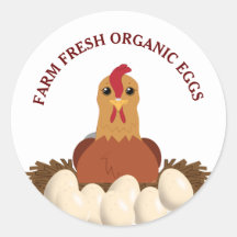 Färska ekologiska ägg från kyckling Hen