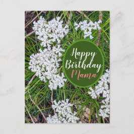 Färska gröna och vita blommor Glad födelsedag Mamm Vykort