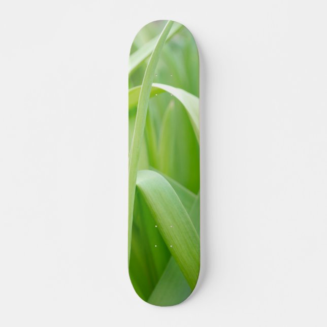 Färska gröna växtblad  mini skateboard bräda 18,5 cm (Framsida)