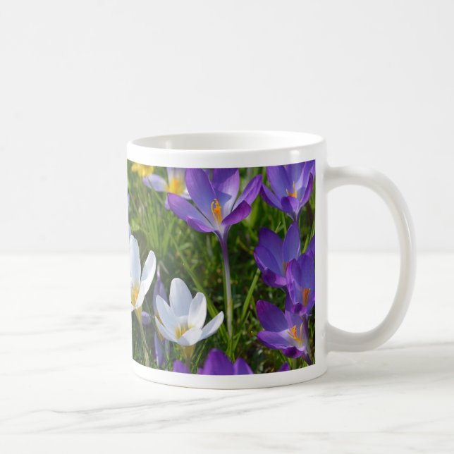 Färska krokusar i olika färger kaffemugg (Höger)