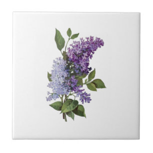Färska Lilacs - Fransk Land Home Decor Kakelplatta