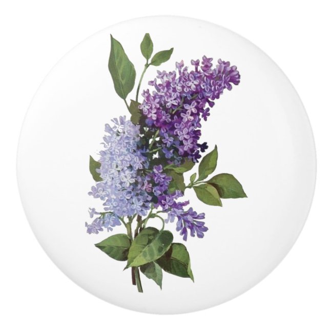 Färska Lilacs - Fransk Land Home Decor Knopp (Framsidan)