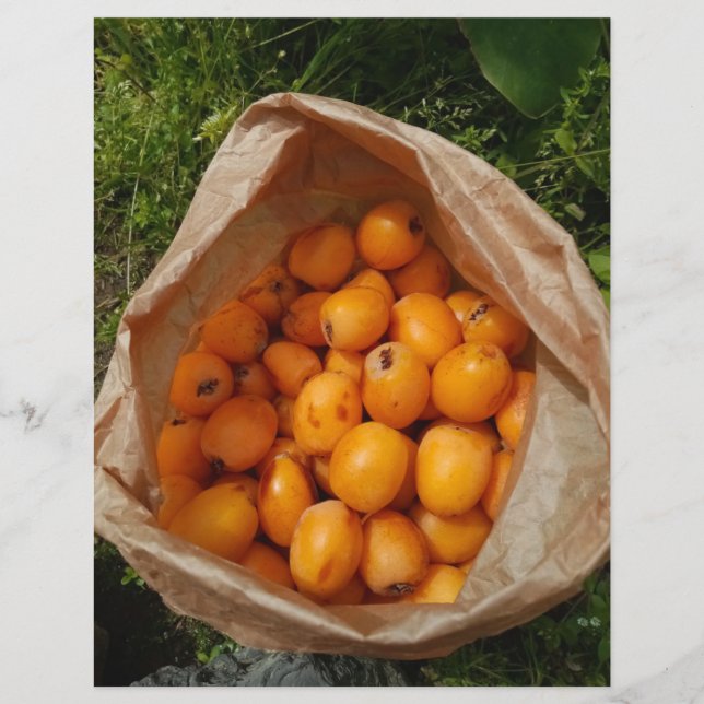 Färska lokvat reklamblad (Framsidan)