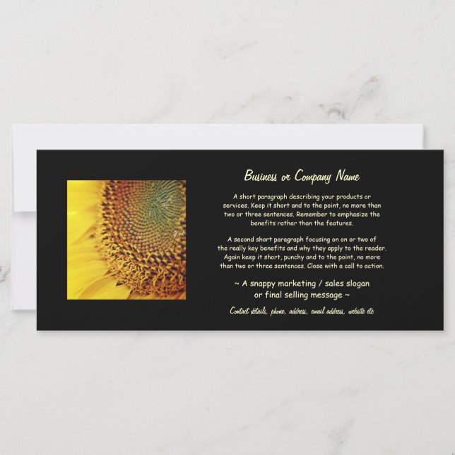 Färska och gyllene solrosor (Framsida)