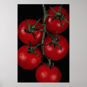 Färska och juidiserade röda tomater poster
