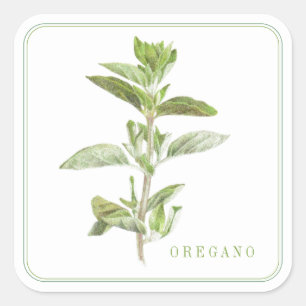 FÄRSKA OREGANO Large Square Stickers Fyrkantigt Klistermärke