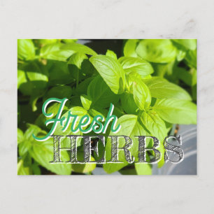 FÄRSKA ÖRTER Garden Basil Recipe Canning Vykort