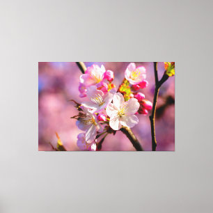 Färska Sakura-blommor i trädgården under våren Canvastryck