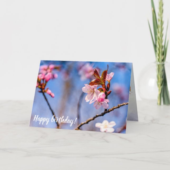Färska Sakurablommors blomning i Springtime Kort (Framsida)