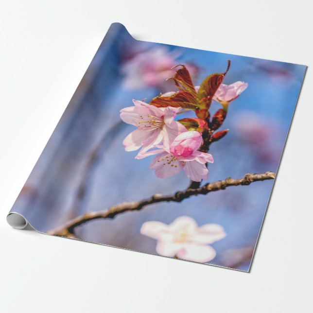 Färska Sakurablommors lydighet Presentpapper (Utrullad)