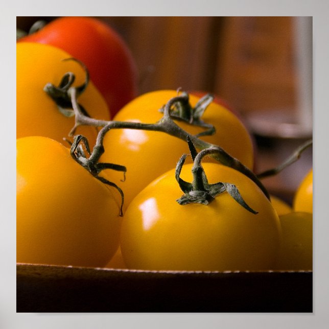 Färska Tomatos Poster (Framsidan)