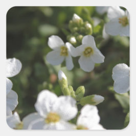 Färska vita sommarträdgårdsblommor och gröna blad fyrkantigt klistermärke