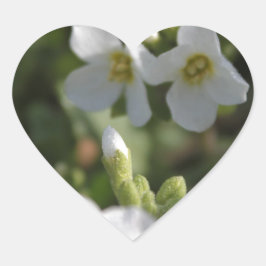 Färska vita sommarträdgårdsblommor och gröna blad hjärtformat klistermärke