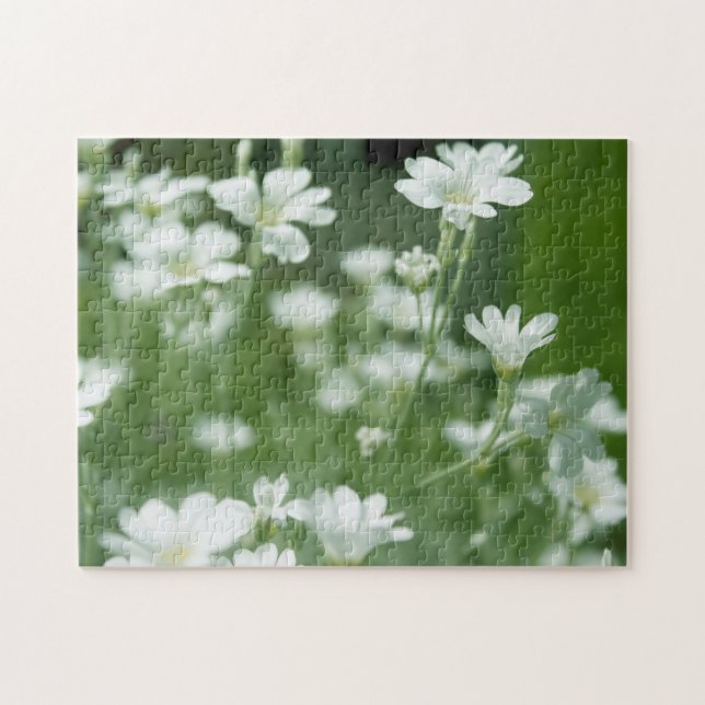 Färska vita trädgårdsblommor pussel (Horisontell)