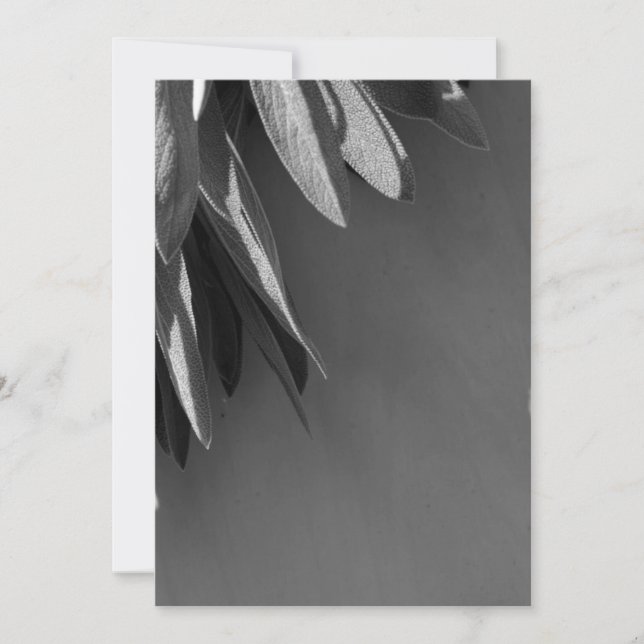 Färskklippt sidgråskala (Framsida)