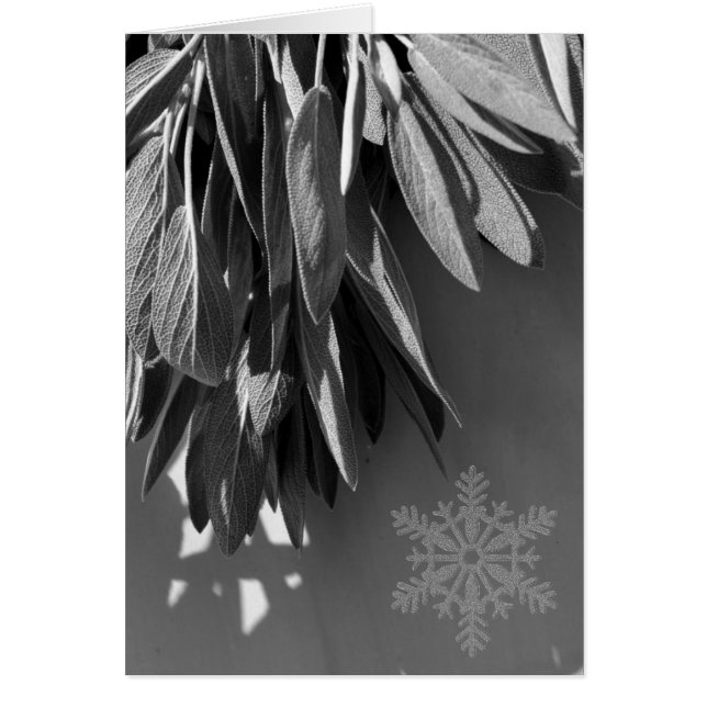 Färskklippt sidgråskala hälsningskort (Framsidan)