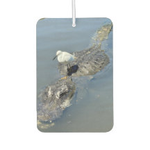 Färskmedel för Alligator car luft