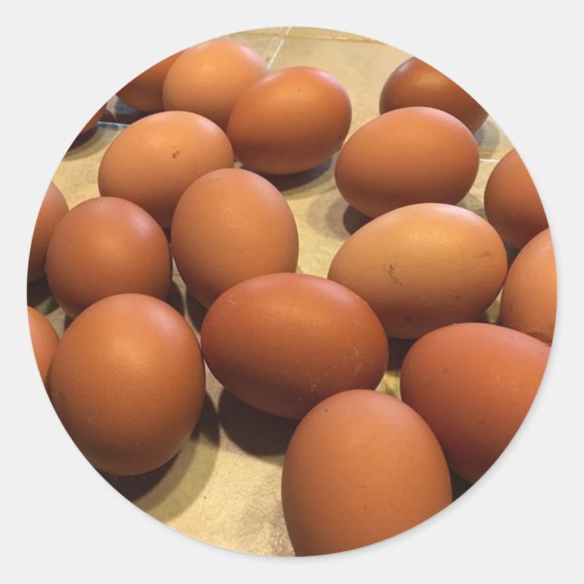 Färskproducerade bruna ägg runt klistermärke (Framsida)