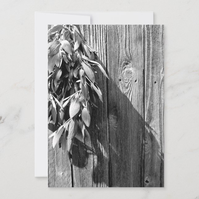 Färskskuren Sage Barn-wood Grayscale (Framsida)