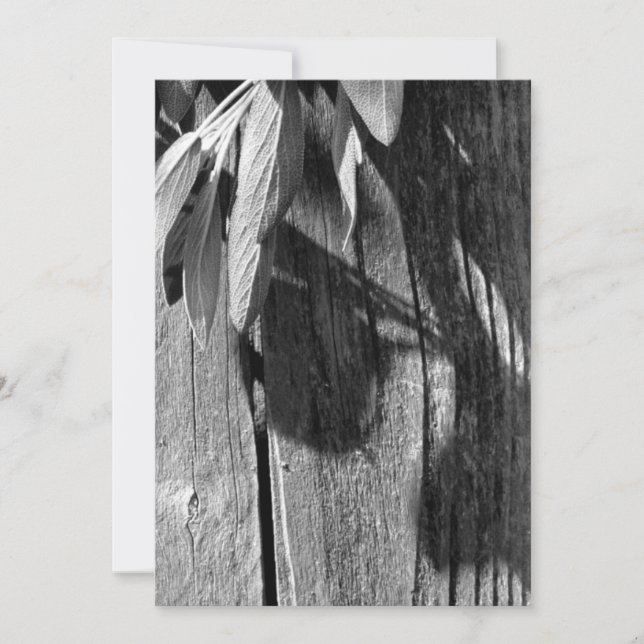 Färskskuren Sage Barn-wood Grayscale (Framsida)